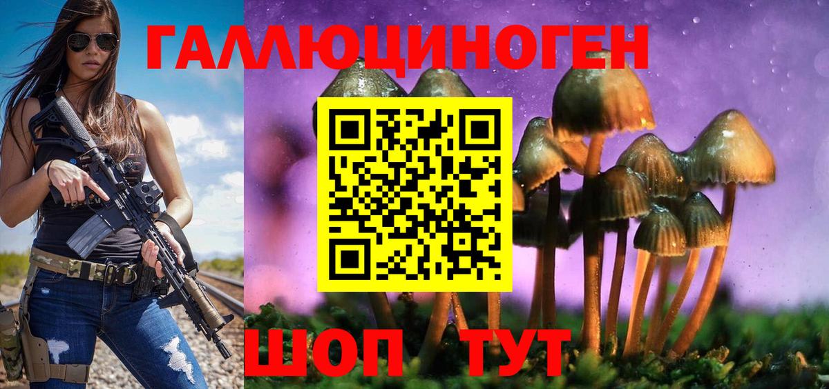 Псилоцибиновые грибы Magic Shrooms  Вход с VPN  Заводоуковск  Псилоцибиновые грибы мицелий 