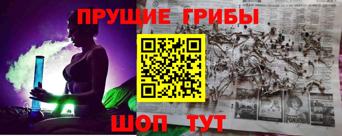 Псилоцибиновые грибы GOLDEN TEACHER Заводоуковск