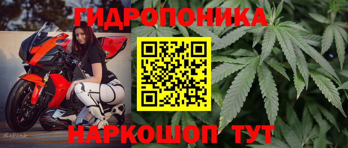 Канабис семена Заводоуковск